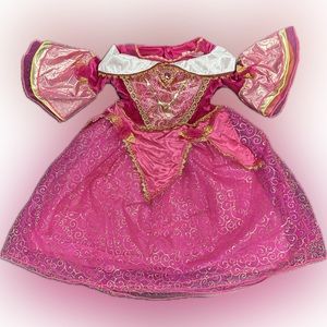 Disney Princess Aurora Costume Dress with Accessories!